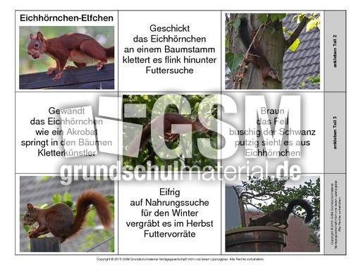 Leporello-Eichhörnchen-Elfchen.pdf